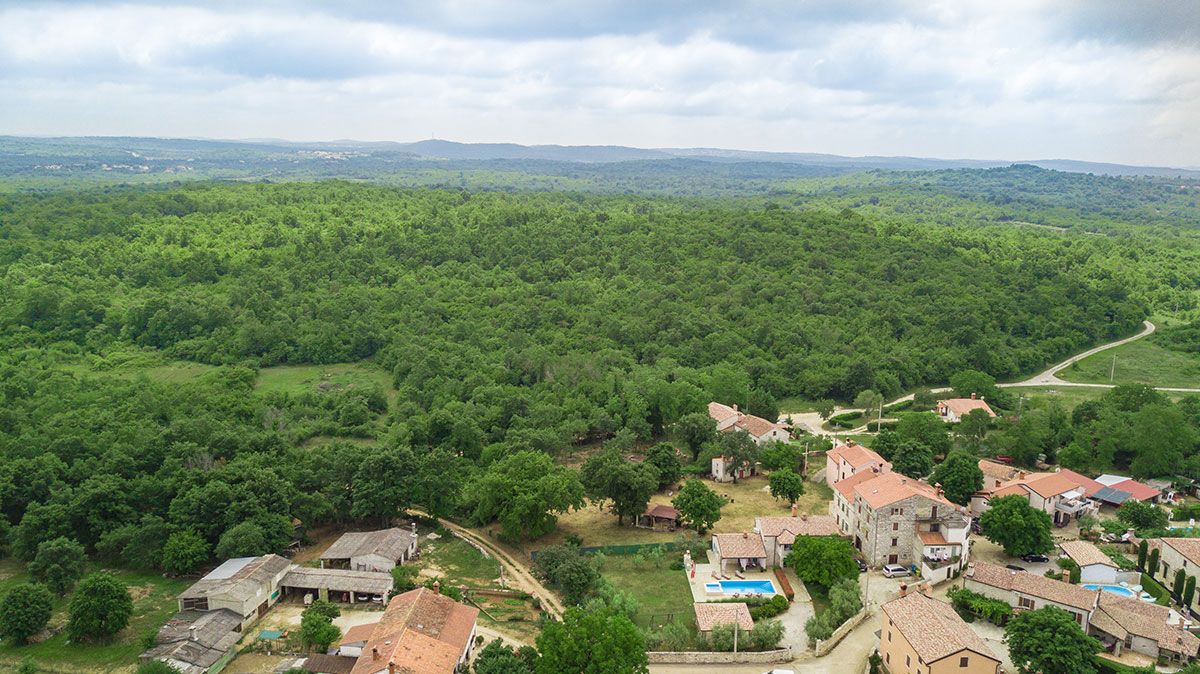 Villa Medvidići photo