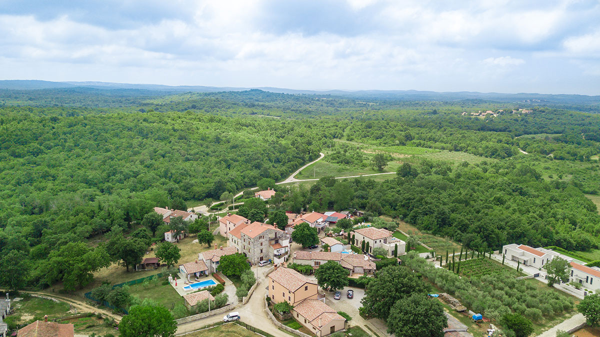 Villa Medvidići photo